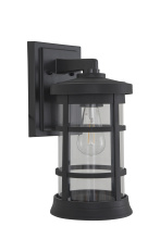 Craftmade ZA2314-TB-C - Medium Wall Mount, Clear