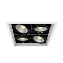 Eurofase TE134B-02 - MULT,PAR30,TRM,4LT,SQ,WHT/BLK