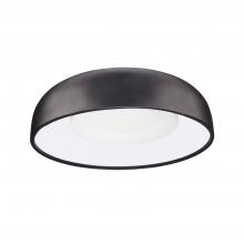 Bowl Flush Mounts